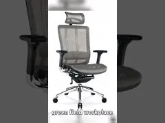 Reclining Ergonomic Home Office Chairs Mesh Bottom
