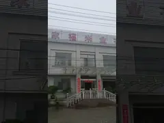 машина 900bags/hour Ewinall QZB-900L высокотехнологичная автоматическая полностью пакуя для мельницы риса video