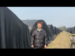 Парник пяди черного гриба фильма тоннеля сети тени одиночный аграрный video