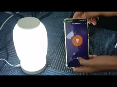 Умный фонарь Настольная лампа Декоративное приложение Tuya Alexa Google Smart WiFi LED Light video