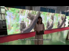 Стена СИД большого экрана крытая видео- исправила установка ультра тонко 250x1000mm video