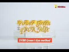 Power Green QPCR Mix Low ROX+ для ABI roche Реальное время ПЦР video