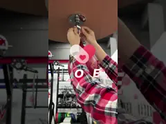 Груша бокса пинком изготовленной на заказ сумки свободная стоящая 5FT бокса PVC video