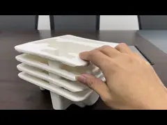 Moulded Pulp Tray