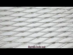 ячеистая сеть сетки SUS316l 100x100mm веревочки провода металла 2mm для растя лоз video