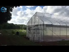 парник аграрное ISO9001 Sawtooth тоннеля высокой эффективности высокий video