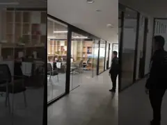 Sliding Door-1