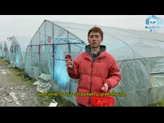 Готическая высокая конструкция парника Одно-пяди гидропоники фильма овоща тоннеля video