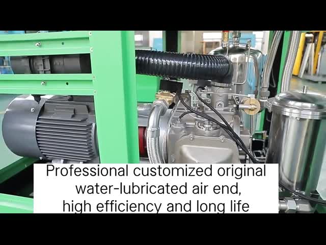 DHH 22kW Food Grade Oil-free Screw Air Compressor 30HP Medical Air Compressor