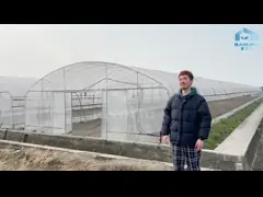 Парник земледелия Singlespan оптового изготовления цены по прейскуранту завода-изготовителя Китая парника Hydroponic video