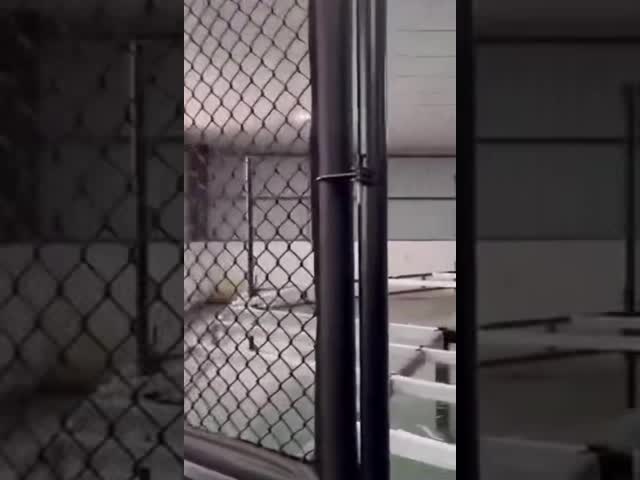 Painéis da gaiola do Muttahida Majlis-E-Amal da aptidão do GYM com o saco de perfuração do quadro para os suportes de parede resistentes