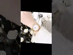 Шкала простые 36mm дозора кварца дам ремня сетки нержавеющей стали золота большая video