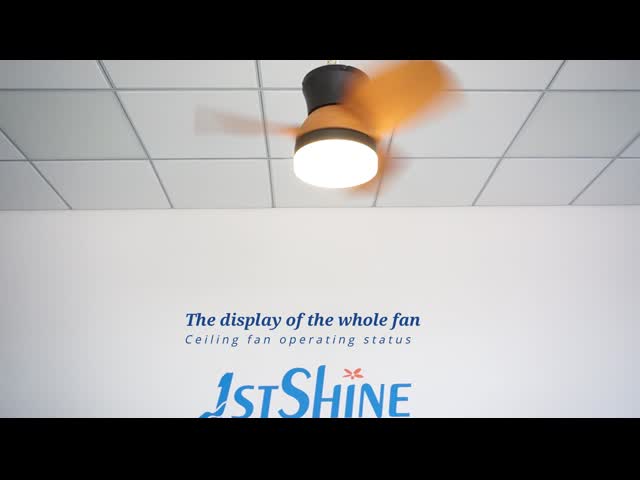 Decorative Quiet DC Motor Flush Mount Small Size Led Ceiling Fan With Light video