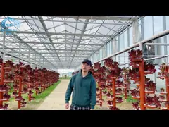 Тип система гидропоники башни для парника земледелия video