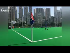 Фальшивки хоккея спортивной площадки травы хоккея высокой плотности трава искусственной пластиковая video