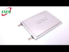 3v Cp155070 900mah Disposable Limno2 Battery For Tracking System