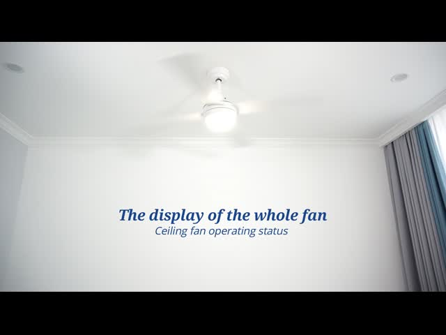 Color Changing Lighting Dimmable LED Indoor Ceiling Fan With Remote Control