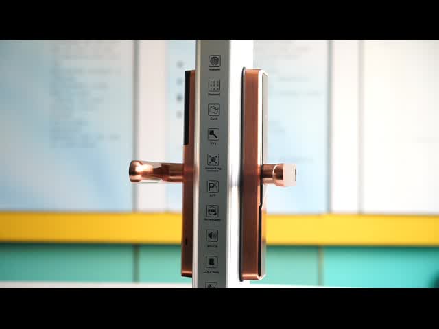 fechadura da porta inteligente do Deadbolt de Wifi da fechadura da porta 6V sem fio para a casa
