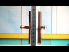 Замок биометрического Tuya умного замка Wifi серебряный механический Keyless video