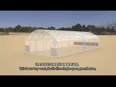 Гальванизированная структура клубник железного каркаса выросли парником, который простая video