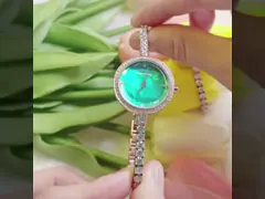 Роскошный дозор браслета кварца ювелирных изделий 26mm нержавеющей стали небольшой фасонировать раковину циркона video