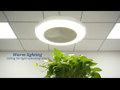 Smart App Control 20 Inch Flush Mount LED Ceiling Fan For Bedroom