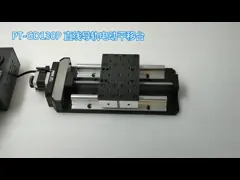 Круглый винт шарика ведущего бруса моторизовал линейное смещение точности этапа video