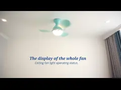 Quiet DC Motor Led Light Small Ceiling Fan Decorative For Morden Room