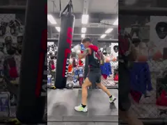 Сумка тренировки Aqua кожаных груш груши оборудования бокса тяжелая video