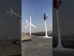 400W 600W 1kW 2kW Vertical Axis Wind Turbine Generator 12V 24V 48V 96V 120V 220V For Household Use