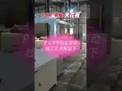 PUR горячие плавят ширину 400-1300mm машины клея вставляя 800mm 18.6kw video