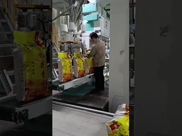 Машина упаковки 5 риса - подниматься высокоскоростного транспортера 50kg автоматический видео