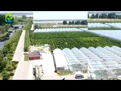 Специализированные семенные кровати регулируемые прокатные скамейки для выращивания пластиковых столов для посадки цветов video