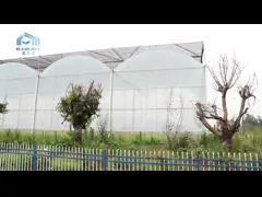 Применение Multi большого диапазона парника фильма полиэтилена пяди широкое video