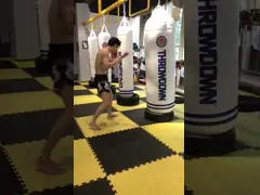 Передвижная тяга кронштейна сумки пунша держателя стены вверх по стойке груши смертной казни через повешение Адвокатуры video