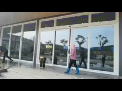 Sliding Door-4