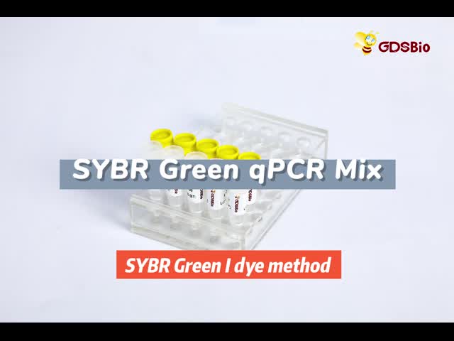 SYBR 緑色 qPCR ロシュ ABI DNA リアルタイム PCR のために低ROX+を混合する