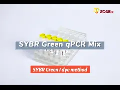 SYBR Green qPCR Mix for Roche Biorad DNA real time PCR 5ml