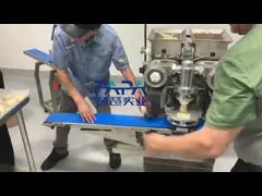 Машина еды кондитерскаи пекарни P160 автоматическая Encrusting video