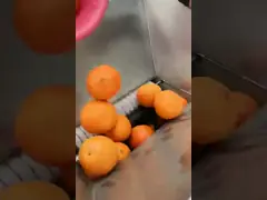 Электрическая машина экстрактора соковыжималки, делающая свежевыжатый апельсиновый лимонный сок video