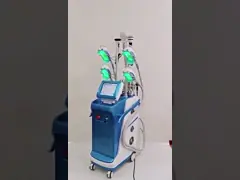 9 In 1 Vacuum 800VA Cryolipolysis Slimming Machine