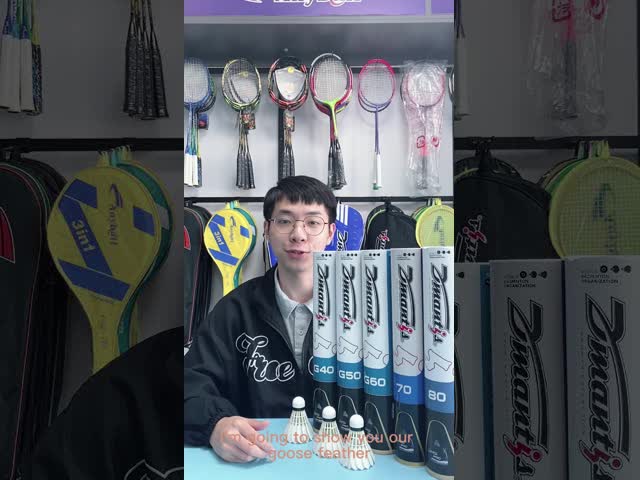 専門職業教育のためのDmantis G50のガチョウの羽のバドミントンShuttlecock
