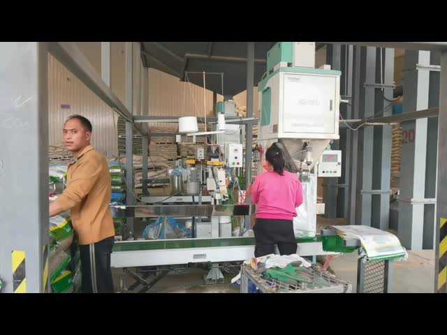 PeanutsFeed Nuts Plastic Pellets Rice Packing Machine 10 - 50KG 200 - 480bag/H