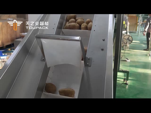 ポテトの手動設定のためのフル オートの網の純袋のパッキング機械