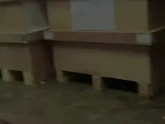 304 нержавеющая сталь настраиваемый цвет вентиль нож вентиль вентиль заводская цена стальной шарик вентиль video