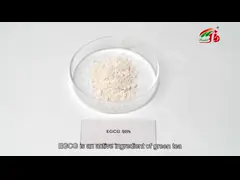 Tee-Auszug und Koffein des grüner Tee-Auszug-98% Epigallocatechin grüner des Gallat-EGCG