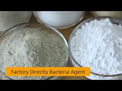 ИСО обработки сточных вод 8℃~60℃БВ очистки воды бактерий амиака ухудшая video