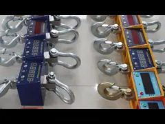 5T вися радиотелеграф масштаба крана цифров с Handheld удаленным принтером video