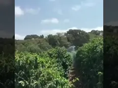 60L Agricultural Spray Drone