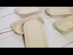 Контейнеры отсека контейнера 1000мл 2 сахарного тростника Эко дружелюбные Компостабле на вынос video